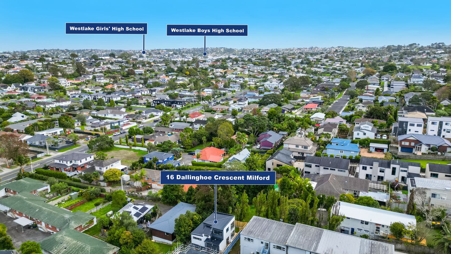 16 Dallinghoe Crescent, Milford 1