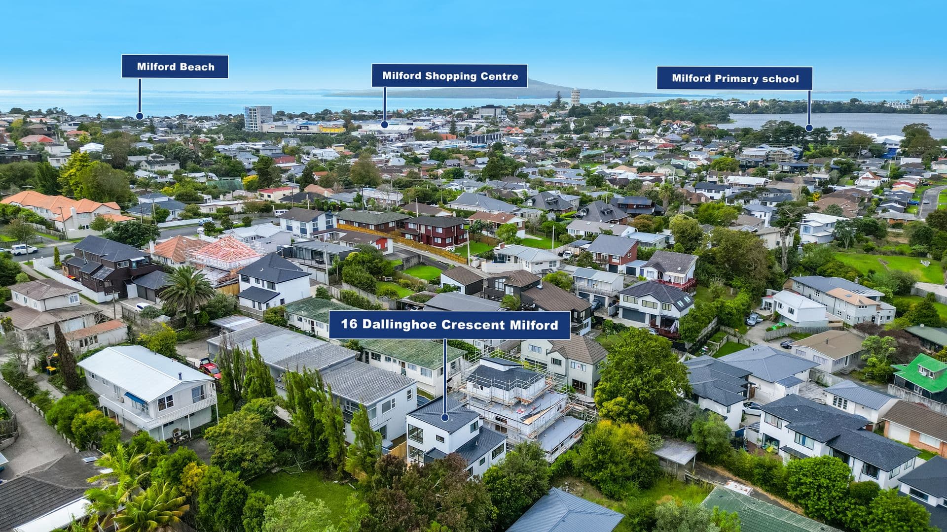 16 Dallinghoe Crescent, Milford - Full View